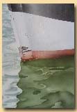 Ruderboot
